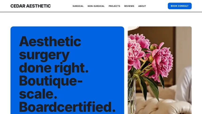 Cosmetic Surgery Open Social demo website thumbnail