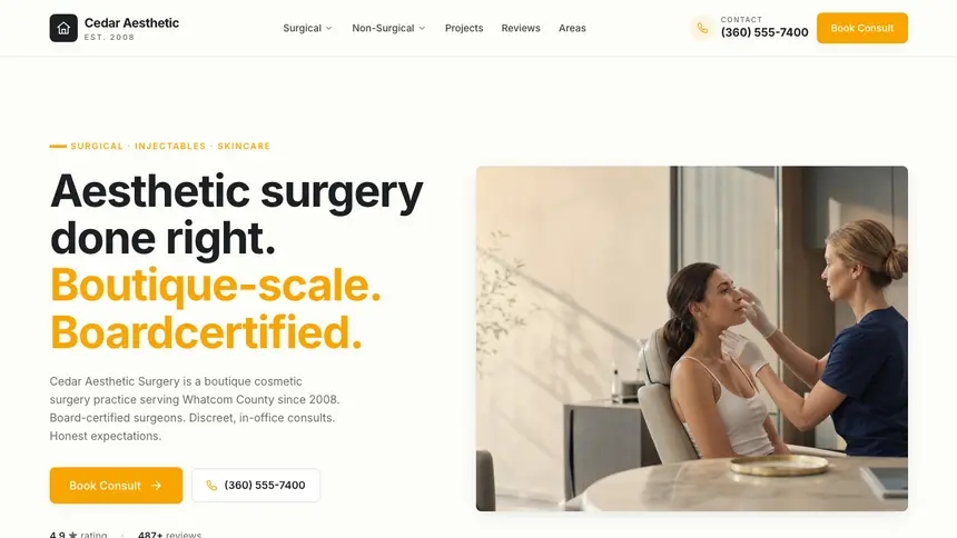 Cosmetic Surgery Playful Product demo website thumbnail