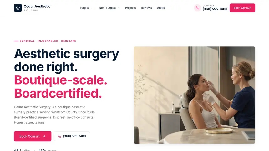 Cosmetic Surgery Polished Gradient demo website thumbnail
