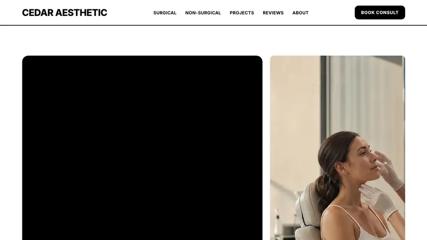 Cosmetic Surgery Bold Utility demo website thumbnail