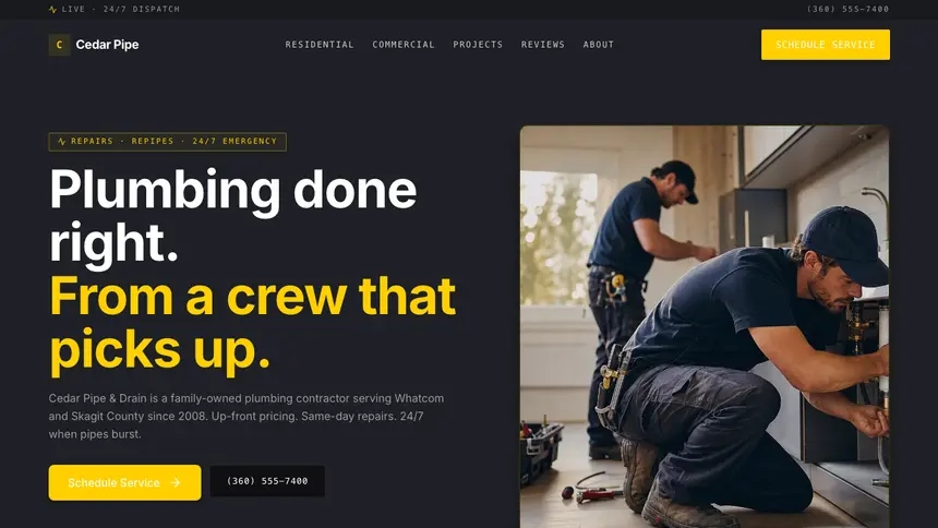 Plumbing Bold Contrast demo website thumbnail