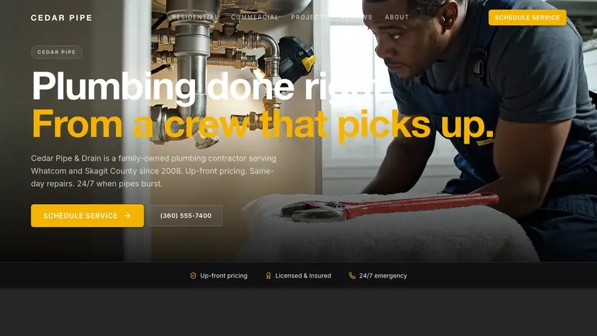 Plumbing Performance Accent demo website thumbnail