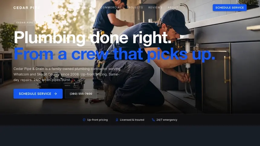 Plumbing Compact Modern demo website thumbnail
