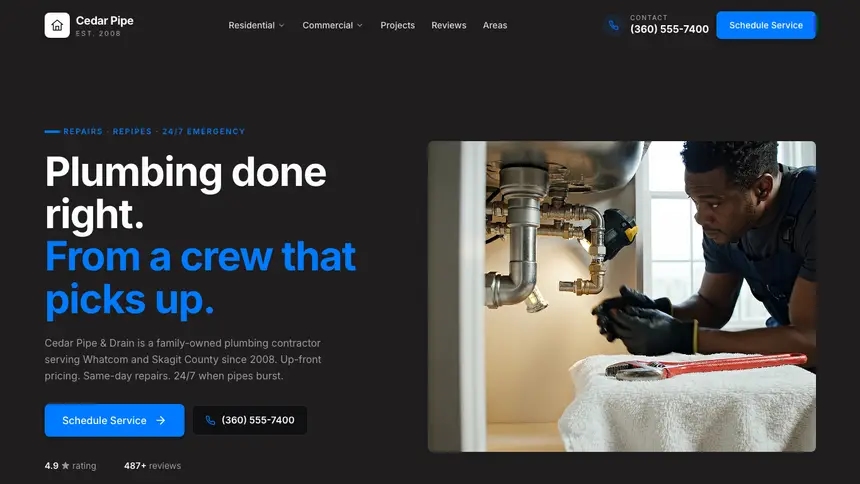 Plumbing Developer Dark demo website thumbnail