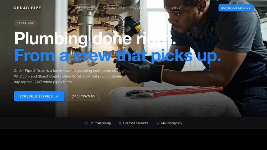 Plumbing Dynamic Bold demo website thumbnail