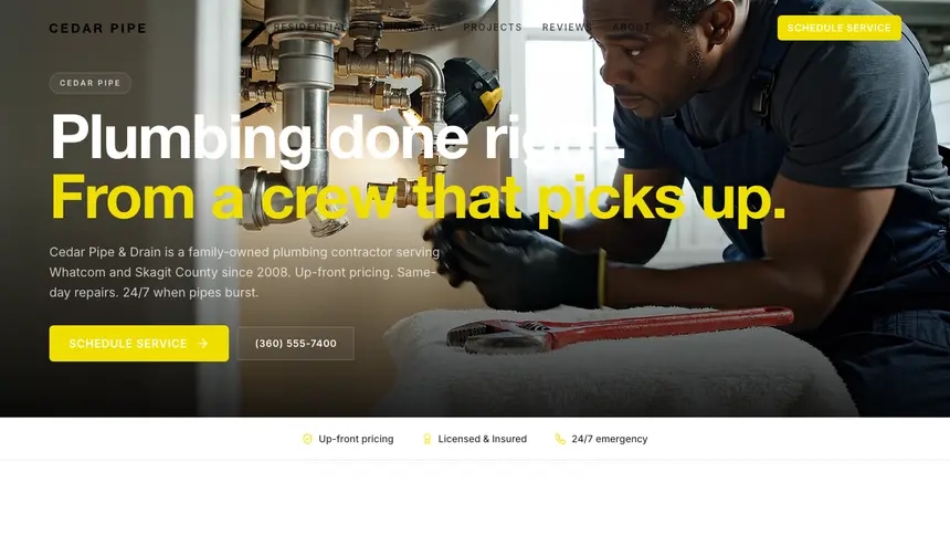 Plumbing Modern European demo website thumbnail