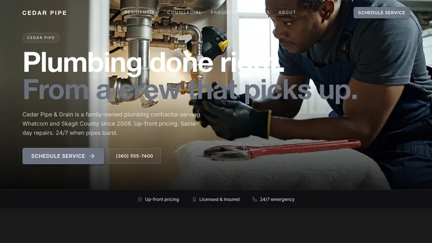 Plumbing Creative Studio demo website thumbnail