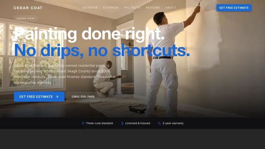 Painting Precision Classic demo website thumbnail