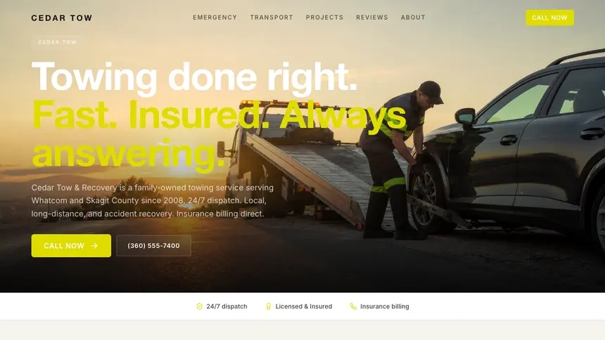Towing Soft Editorial demo website thumbnail
