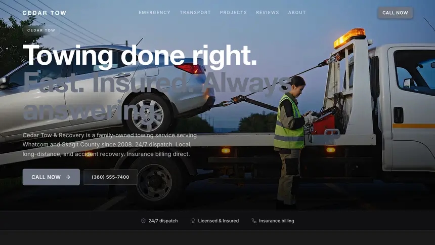 Towing Creative Studio demo website thumbnail