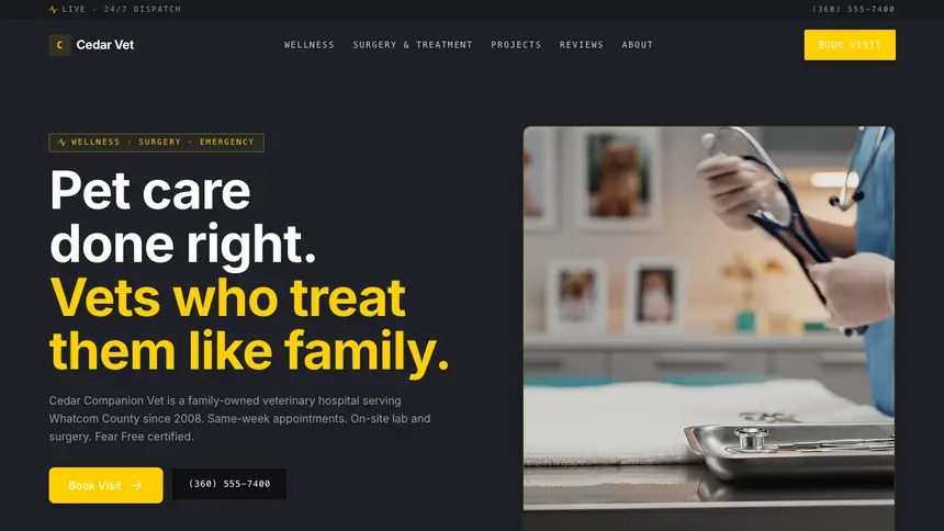 Veterinary Bold Contrast demo website thumbnail
