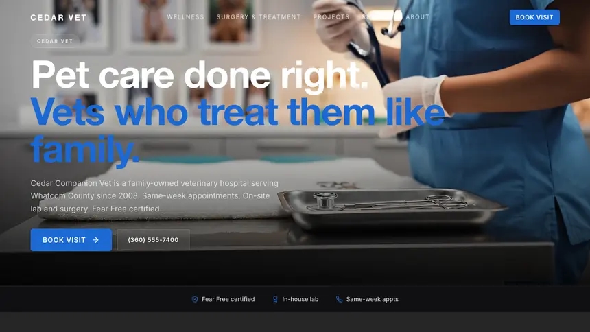 Veterinary Precision Classic demo website thumbnail