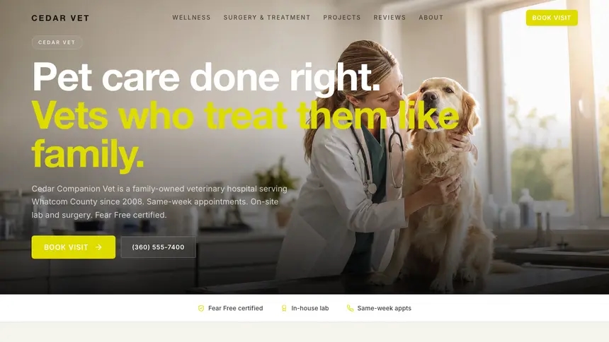 Veterinary Soft Editorial demo website thumbnail