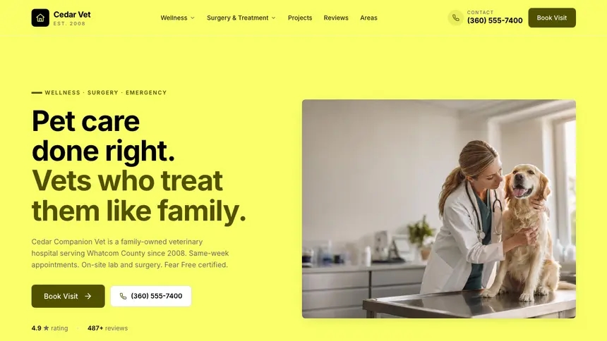 Veterinary Data Clarity demo website thumbnail