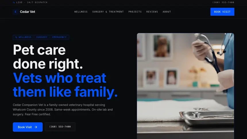 Veterinary Trusted Finance demo website thumbnail