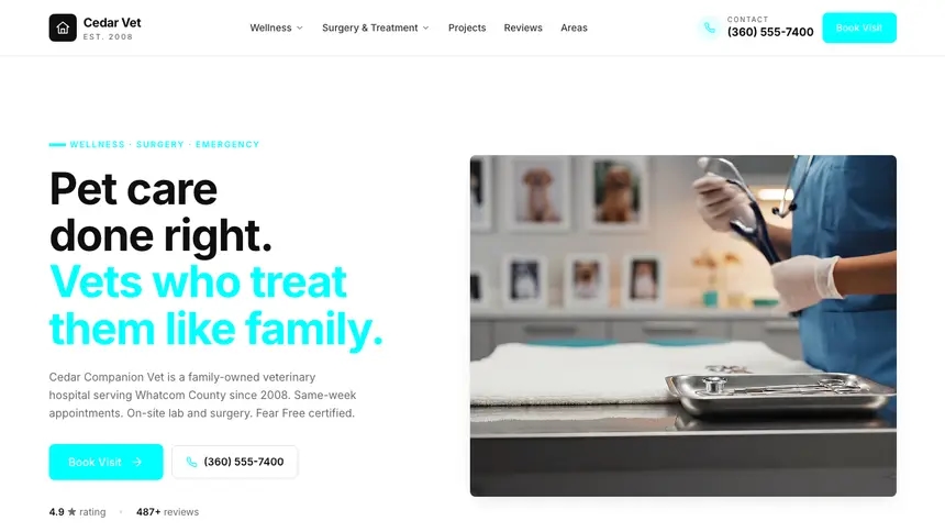 Veterinary Modular Clean demo website thumbnail