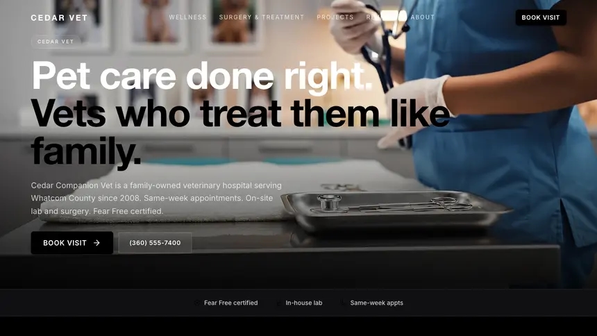 Veterinary Expressive Modern demo website thumbnail