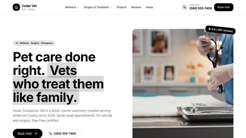 Veterinary Playful Creative demo website thumbnail