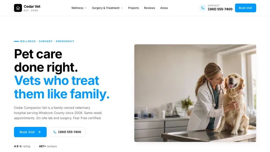 Veterinary Motion Forward demo website thumbnail