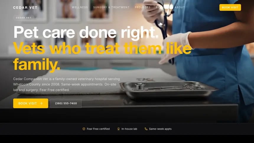 Veterinary High Impact demo website thumbnail