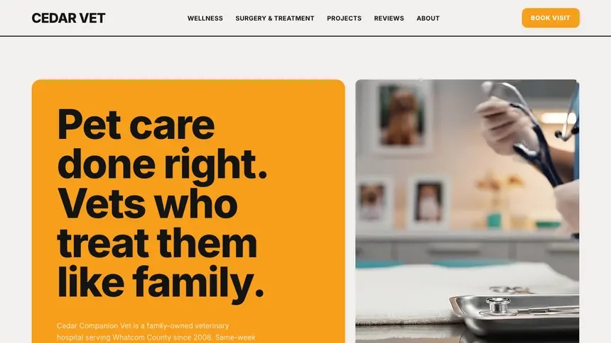 Veterinary Confident Brand demo website thumbnail