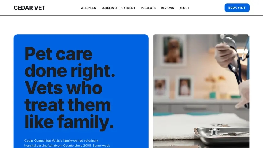Veterinary Open Social demo website thumbnail