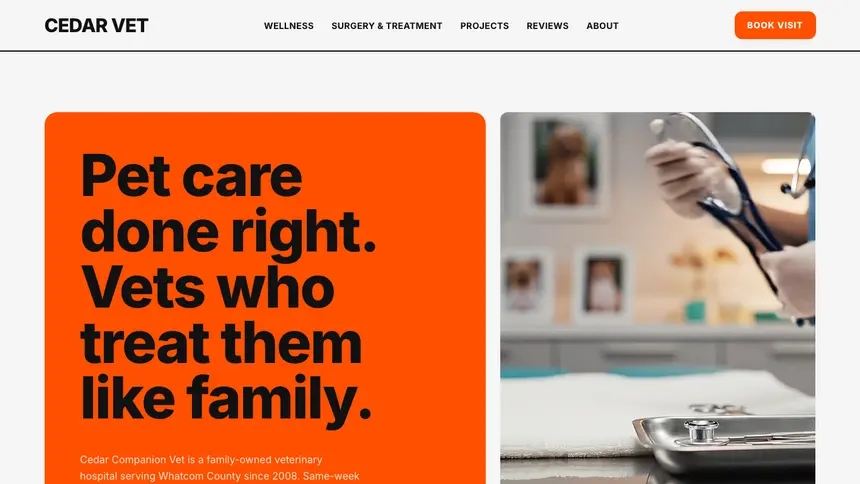 Veterinary Bold Motion demo website thumbnail