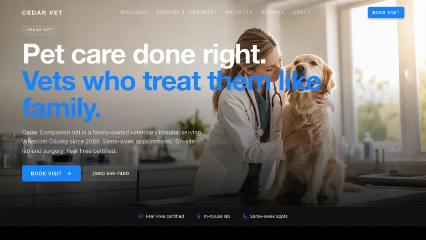 Veterinary Dynamic Bold demo website thumbnail