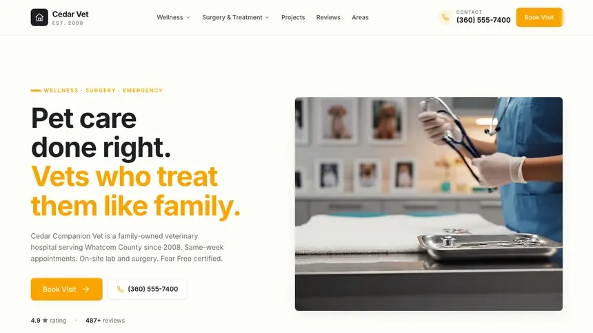 Veterinary Playful Product demo website thumbnail