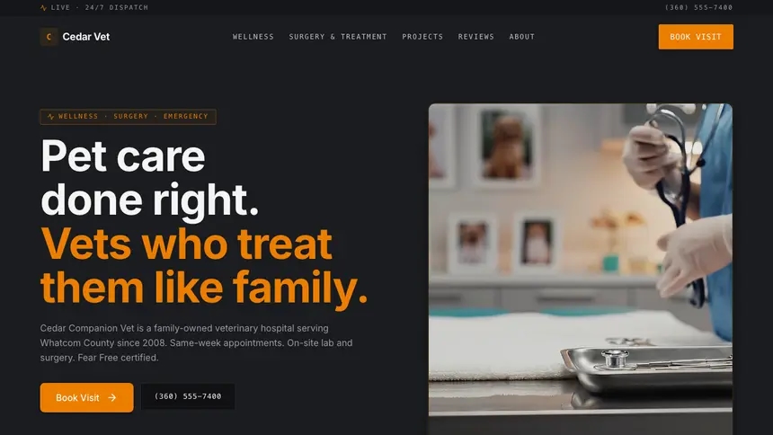 Veterinary Modern Finance demo website thumbnail