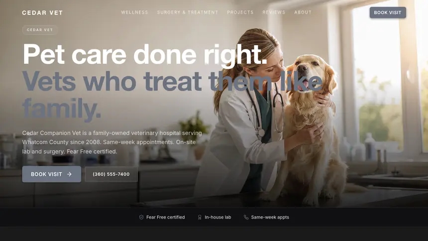 Veterinary Creative Studio demo website thumbnail