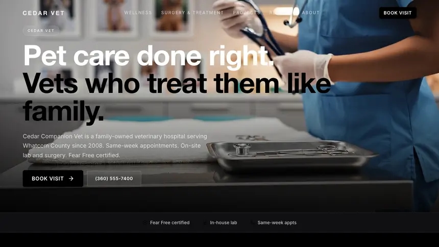 Veterinary High Contrast demo website thumbnail