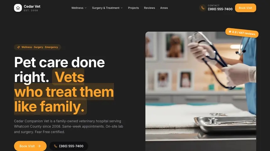 Veterinary Vibrant Media demo website thumbnail