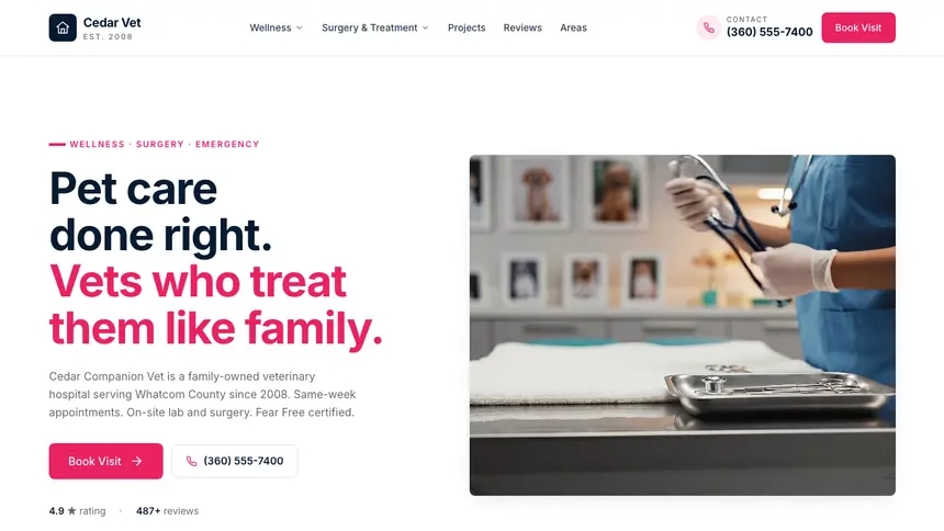 Veterinary Polished Gradient demo website thumbnail