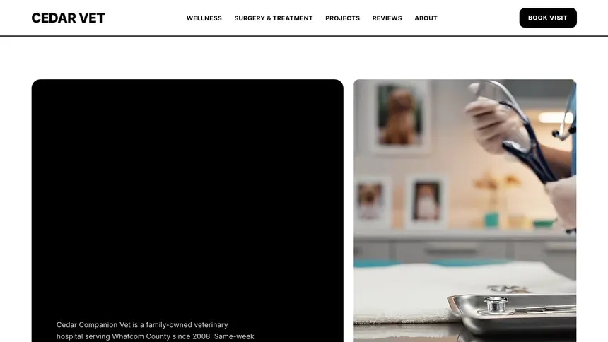 Veterinary Bold Utility demo website thumbnail
