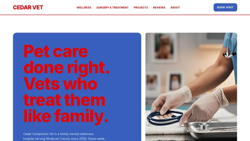 Veterinary Confident Telecom demo website thumbnail