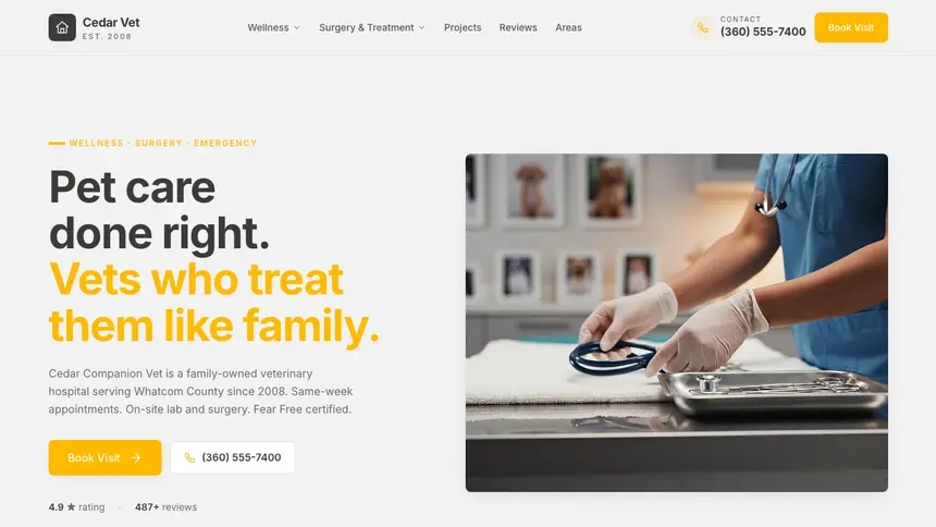 Veterinary Energetic Tech demo website thumbnail