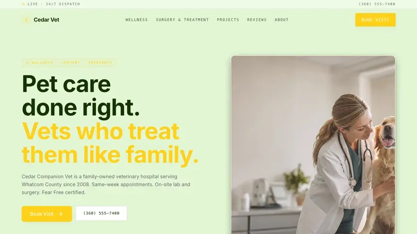 Veterinary Bright Finance demo website thumbnail