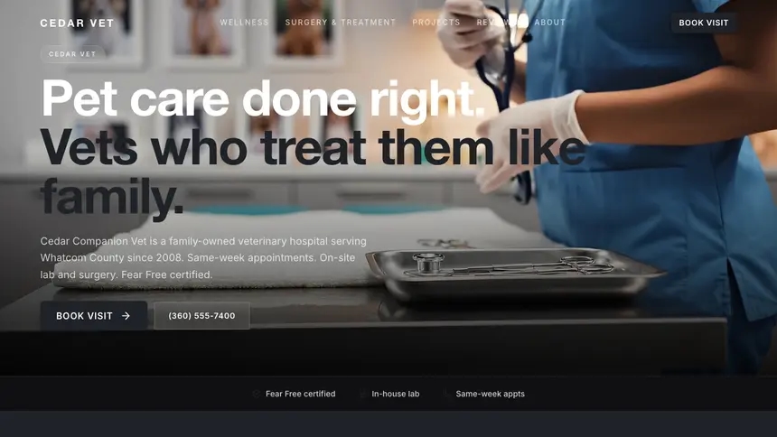 Veterinary Stark Minimal demo website thumbnail